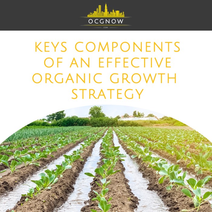 Understanding Organic Growth