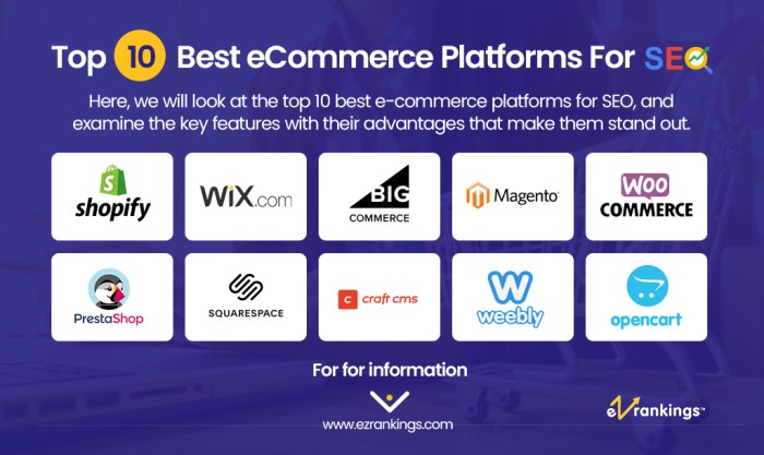 E-commerce platforms